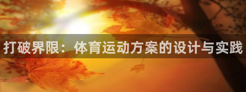 光速体育免费高清：打破界限：体育运动方案的设计与实践