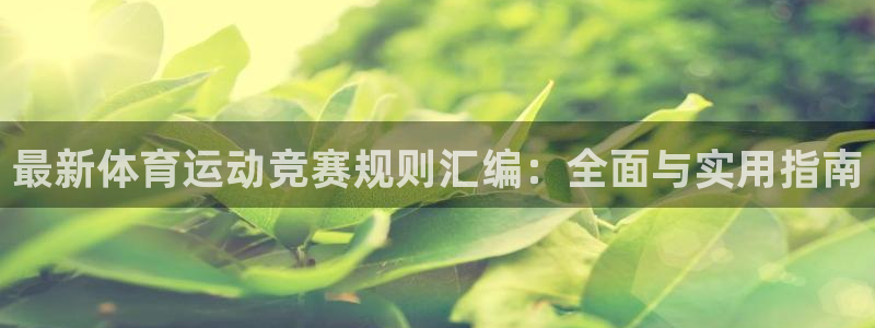 光速体育直播APP：最新体育运动竞赛规则汇编：全面与实用指南