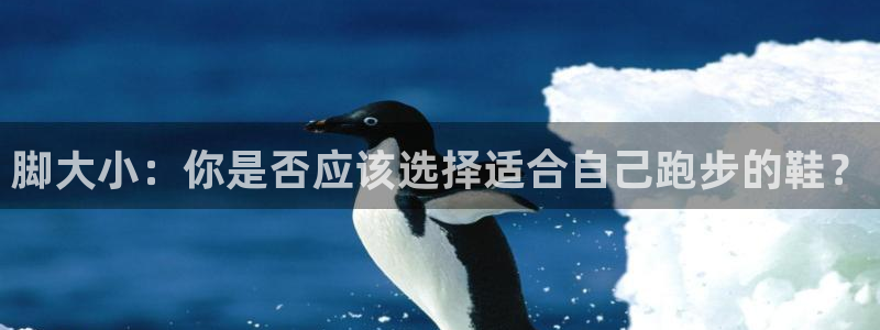 下载光速体育：脚大小：你是否应该选择适合自己跑步的鞋？
