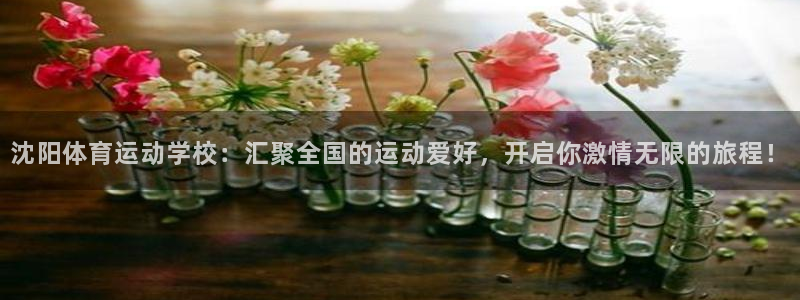 光速体育直播免费观看nba：沈阳体育运动学校：汇聚全国的运动爱好，开启你激情无限的旅程！