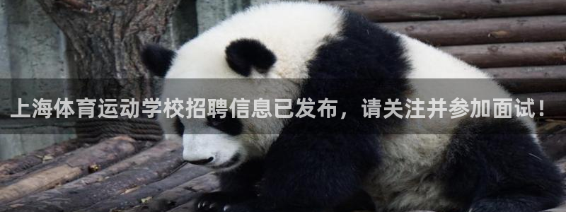 光速体育nba在线观看：上海体育运动学校招聘信息已发布，请关注并参加面试！
