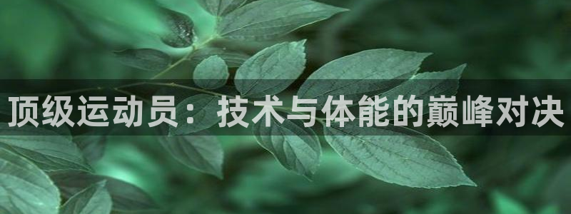 光速体育直播免费观看nba：顶级运动员：技术与体能的巅峰对决