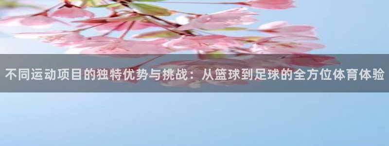 光速体育雨燕：不同运动项目的独特优势与挑战：从篮球到足球的全方位体育体验