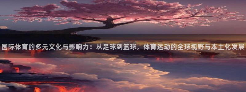 光速体育直播NBA：国际体育的多元文化与影响力：从足球到篮球，体育运动的全球视野与本土化发展