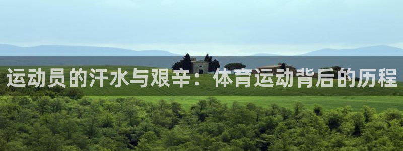 光速体育有病毒吗：运动员的汗水与艰辛：体育运动背后的历程