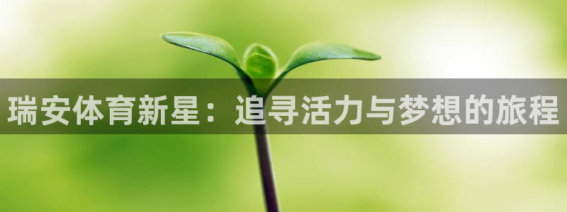 光速体育改名后叫什么名字了：瑞安体育新星：追寻活力与梦想的旅程