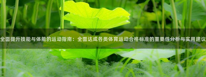 光速体育ios官方网站：全面提升技能与体能的运动指南：全面达成各类体育运动合格标准的重要性分析与实用建议
