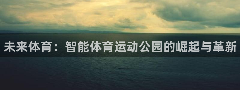 光速体育nba在线观看：未来体育：智能体育运动公园的崛起与革新
