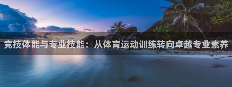光速体育nba直播：竞技体能与专业技能：从体育运动训练转向卓越专业素养