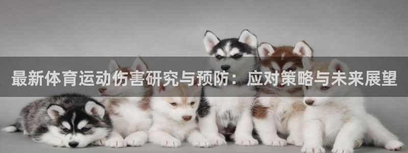 光速体育app官方下载地址：最新体育运动伤害研究与预防：应对策略与未来展望
